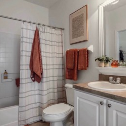 bathroom with mirror sink toilet and shower